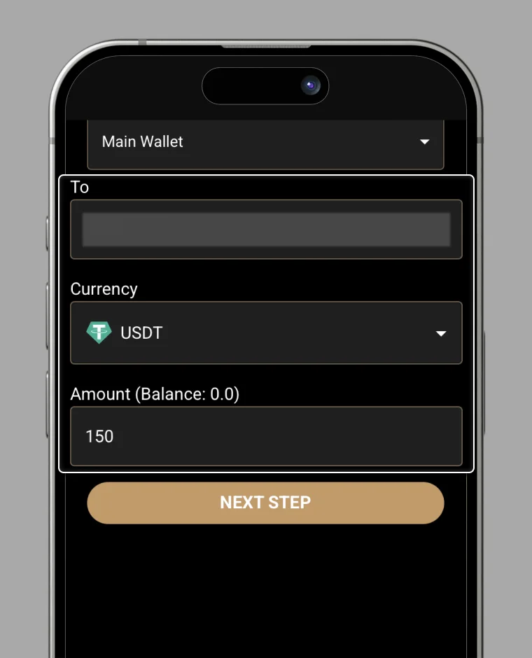Enter Transfer Details