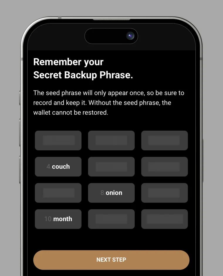 Store Your Mnemonic