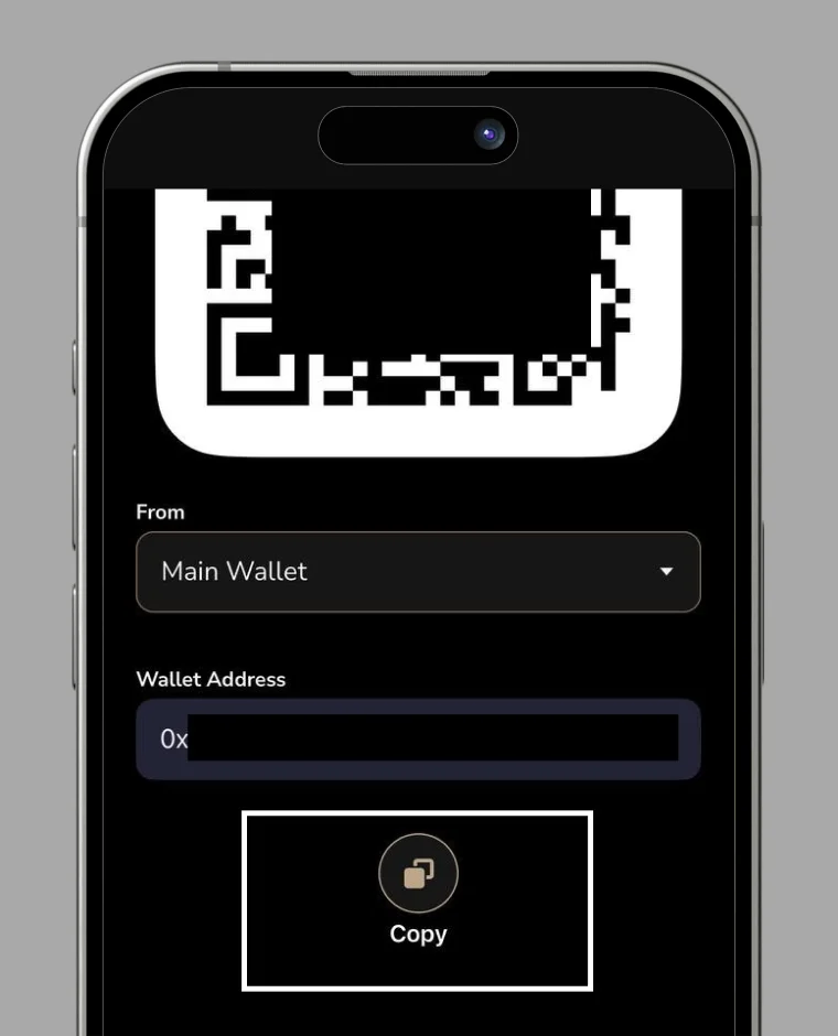 How to check your wallet address step 2