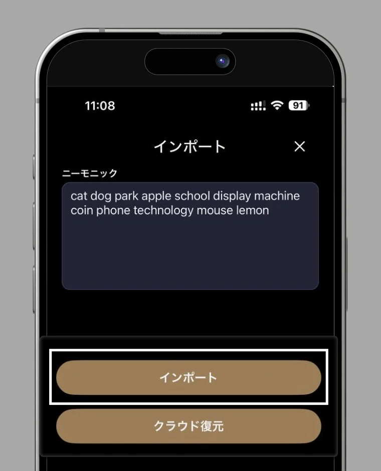 Import mnemonic screen
