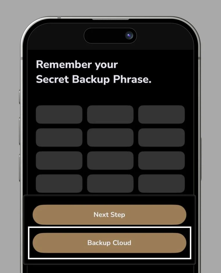 Mnemonic backup screen