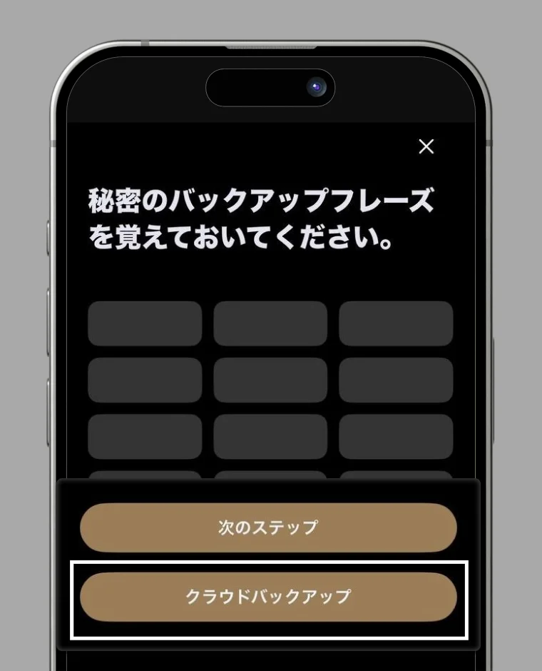 Mnemonic backup screen