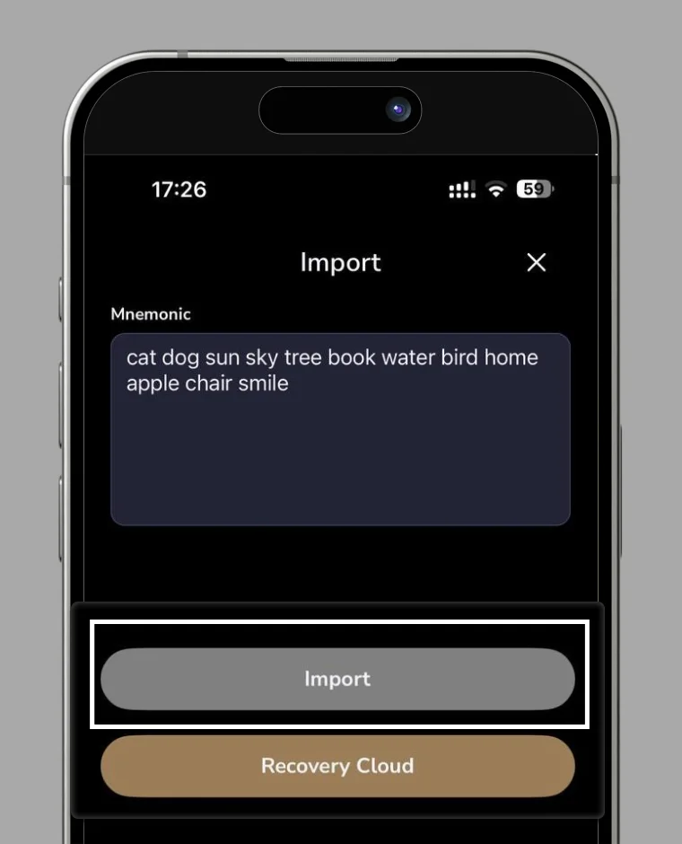 Import mnemonic screen